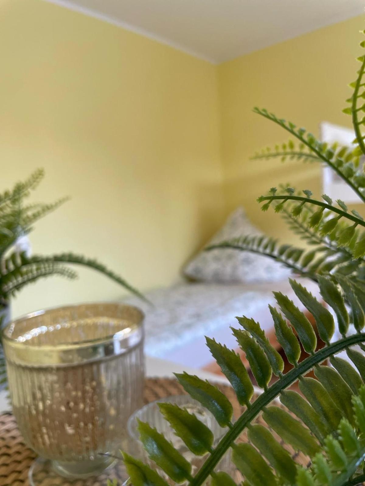 Modernes Apartment Im Gruenen, Mit Park- Und Meer-Naehe Бад Цвишенан Екстериор снимка