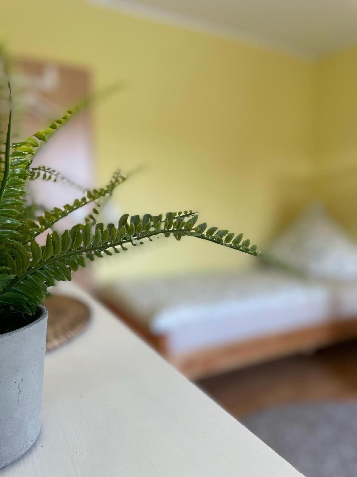 Modernes Apartment Im Gruenen, Mit Park- Und Meer-Naehe Бад Цвишенан Екстериор снимка